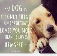 Best Friend Dog Quotes. QuotesGram via Relatably.com