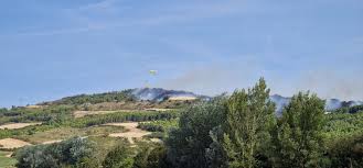 navarra.es - News update