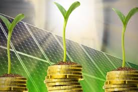 Risultati immagini per volano i mercati foto