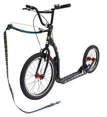 Image result for urban dog sledding scooter