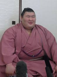 熱海富士、96年ぶり快挙達成「うれしい」 静岡県出身として1930年天竜以来の新三役昇進（日刊スポーツ）