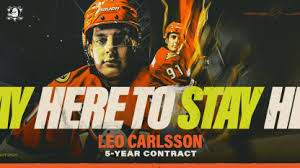 anaheim ducks Picture