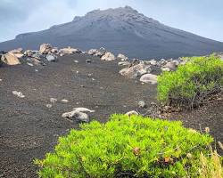 Immagine di Mosteiros Fogo Cape Verde coffee plantations green landscape