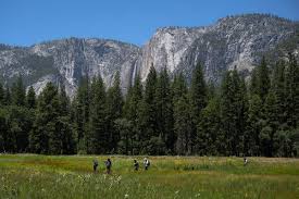 Trump Administration Looks to Give a Swath of Yosemite to a Developer
