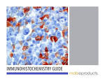 Immunostaining guide