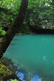 Image result for "Round Spring"