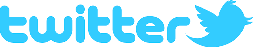 Image result for twitter small icon