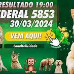 resultado do jogo do bicho ontem da federal