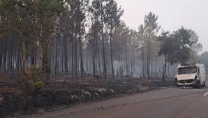 DIRECT - Incendie dans les Landes : 2.500 hectares parcourus, 25.000 personnes évacuées à Biscarrosse et Parentis