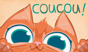 Résultat de recherche d'images pour "photo moustache qui fait bonne week-end !!"