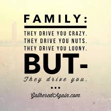 family-drives.jpg via Relatably.com