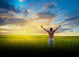Image result for freedom