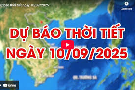 moitruong.net.vn - News update