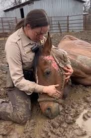 The vet said she was too weak to stand and might not survive ...