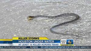 Image result for photos of houston flooding