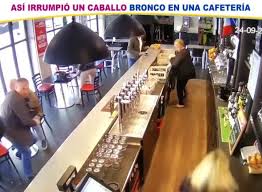 Pat #PatViveTodosLosColores En Francia, varias personas que ...