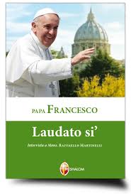 Risultati immagini per LAUDATO SI’. L’ENCICLICA DI PAPA FRANCESCO