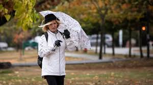 Powerful Winds Batter Vancouver as Weather Warnings Sweep B.C.’s South Coast