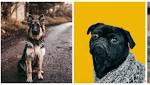 Keeping cuddly, make Diwali safe