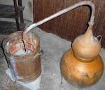 parafarmaciaeayotrosmenesteres