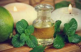 Risultati immagini per IMMAGINI OLIO ESSENZIALE