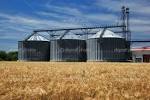 Il Ciclo del Grano Silos di Foggia