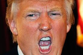 Image result for pictures of donald trump