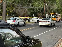 Community Mourns 11-Year-Old Summer Lim Killed in Bus Crash