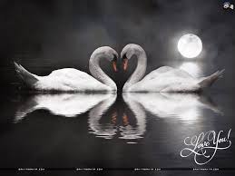 Image result for love