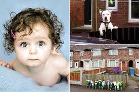 Neighbours of tragic baby Ava-Jayne Corless tonight described the dog said to have killed her as a “menace” - and claimed it is called &#39;Killer&#39;. - Main-Ava