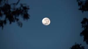 Der Wonnemond erwacht – Vollmond zum Maifeiertag