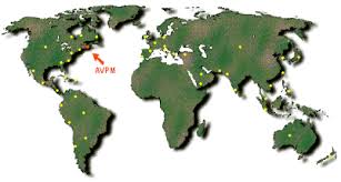 Image result for peat moss