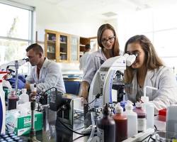 Image of Bachelor's degree in Biotechnology