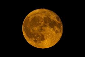 La Pleine Lune du Cerf arrive et promet un spectacle unique : la date à ne surtout pas manquer