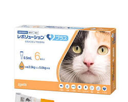 レボリューション 猫用の画像