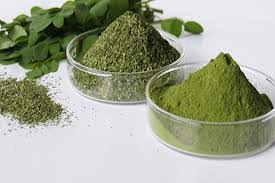 Image result for mlonge