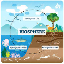 GEO with Ms.Odah💜