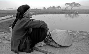 Image result for tình mẹ