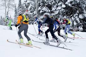 Summer Olympic Hopefuls Transition to Winter Games