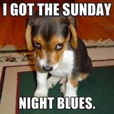 Sunday Night on Pinterest | The Banana Splits, Hillbilly and ... via Relatably.com