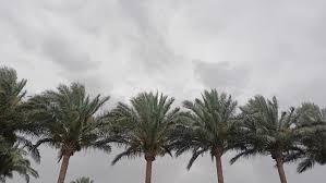 الأرصاد: نشاط للرياح يلطّف الأجواء ليلًا وقد يثير الرمال والأتربة