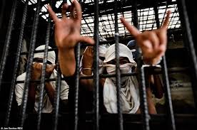 Image result for american El Salvador gang members arrested