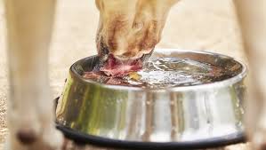 Image result for Flint Water Crisis