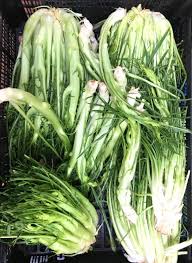 CICORIA: Chicory &ndash; Bitter Green | All Things Sicilian and more