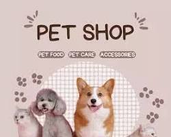 variety of custom pet goodsの画像