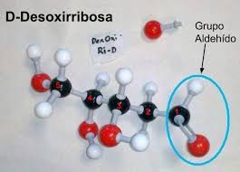 Resultado de imagen para dihidroxiacetona 3d
