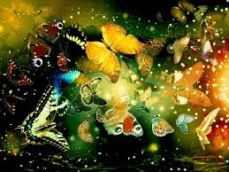 Image result for animated butterflies wallpaper