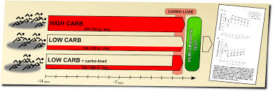Résultat de recherche d'images pour "fat triathlete"