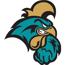 Image result for chanticleer