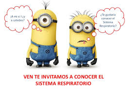 Resultado de imagen de aparato respiratorio niños